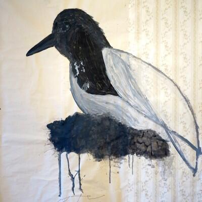 Bird Books
