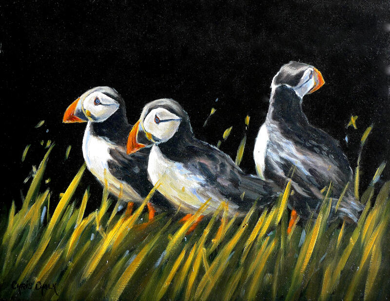 three-amigos-puffin-painting
