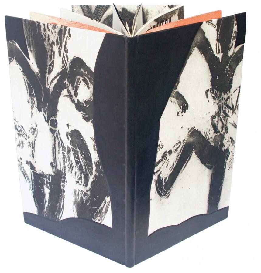 Cover and interior by Never Fixed Mark