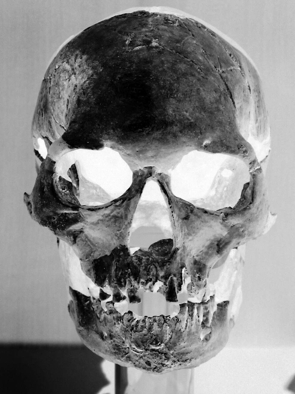 skull-b-w
