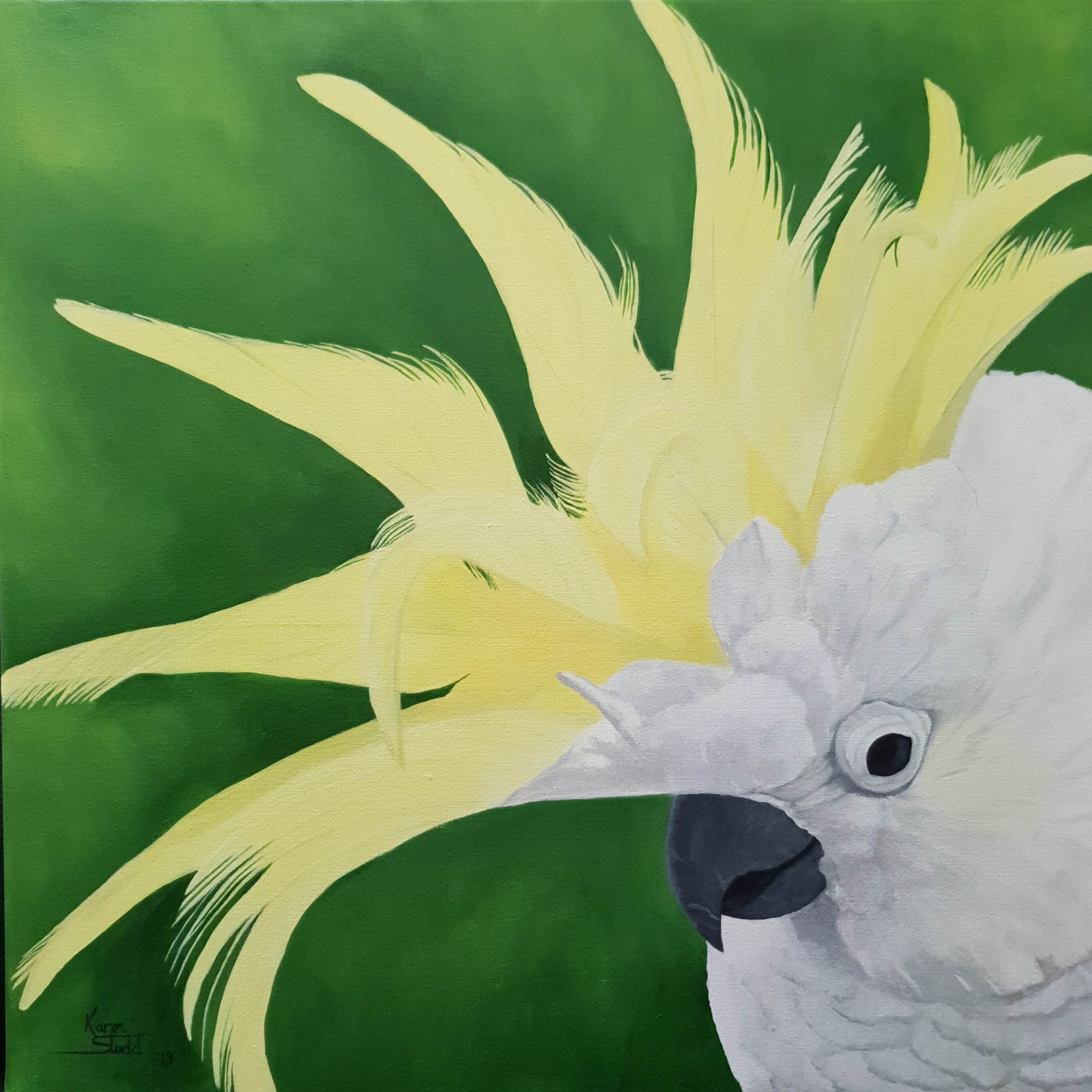 KS581 Cockatoo Crown