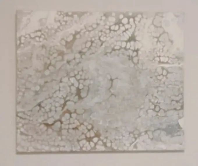 WhatsApp Image 2026-03-03 at 16.22.39 (2)