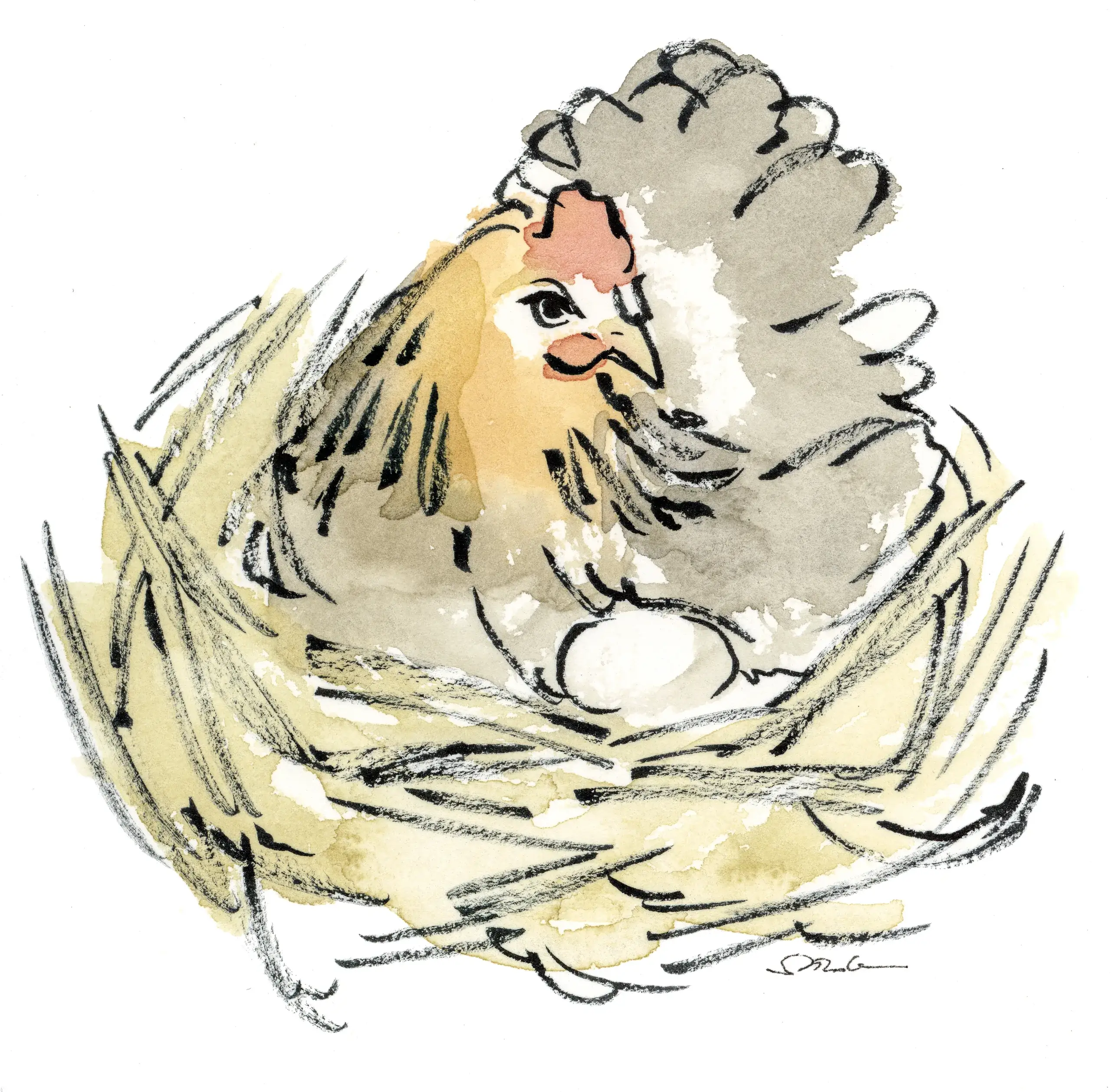 cesar-poule-encyclopedia-03