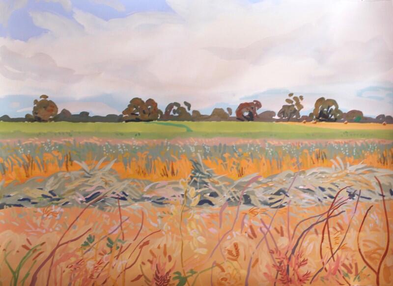 wheatfield