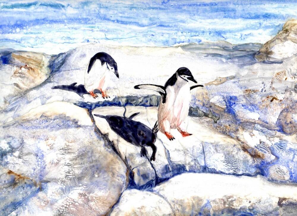 Follow me - Chinstrap penquins by Marijke Gilchrist