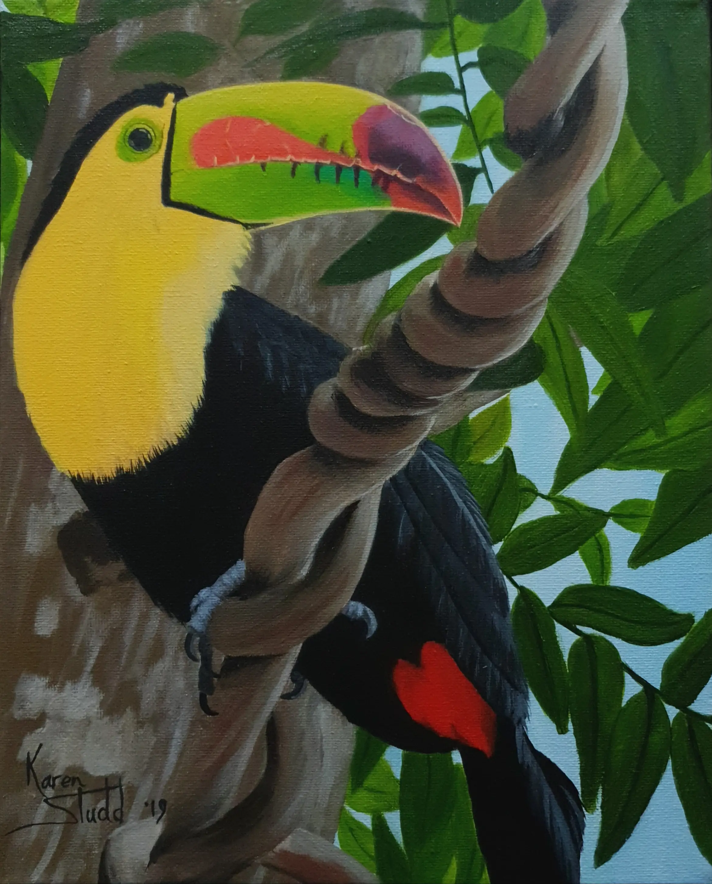 KS561 One Can Toucan