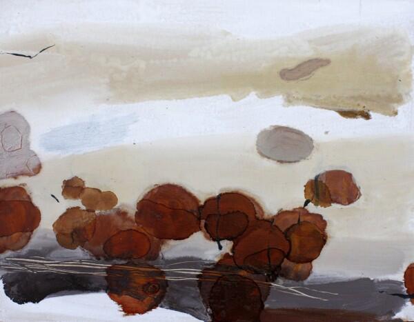 coastal-plane---rocks