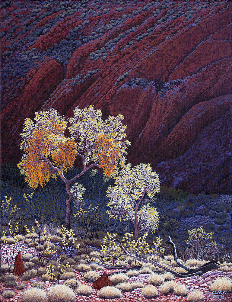 Hill Bloodwood by Pauline Clack