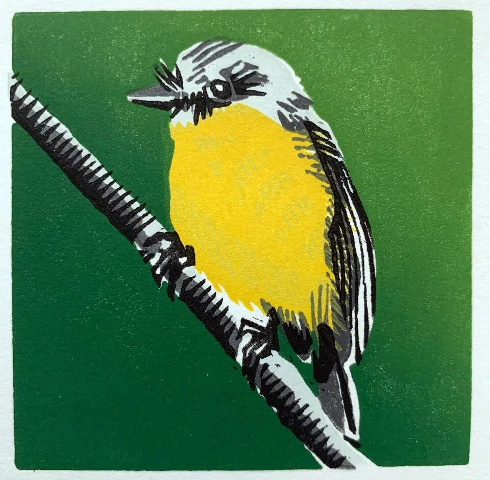 Eastern-Yellow-Robin-1