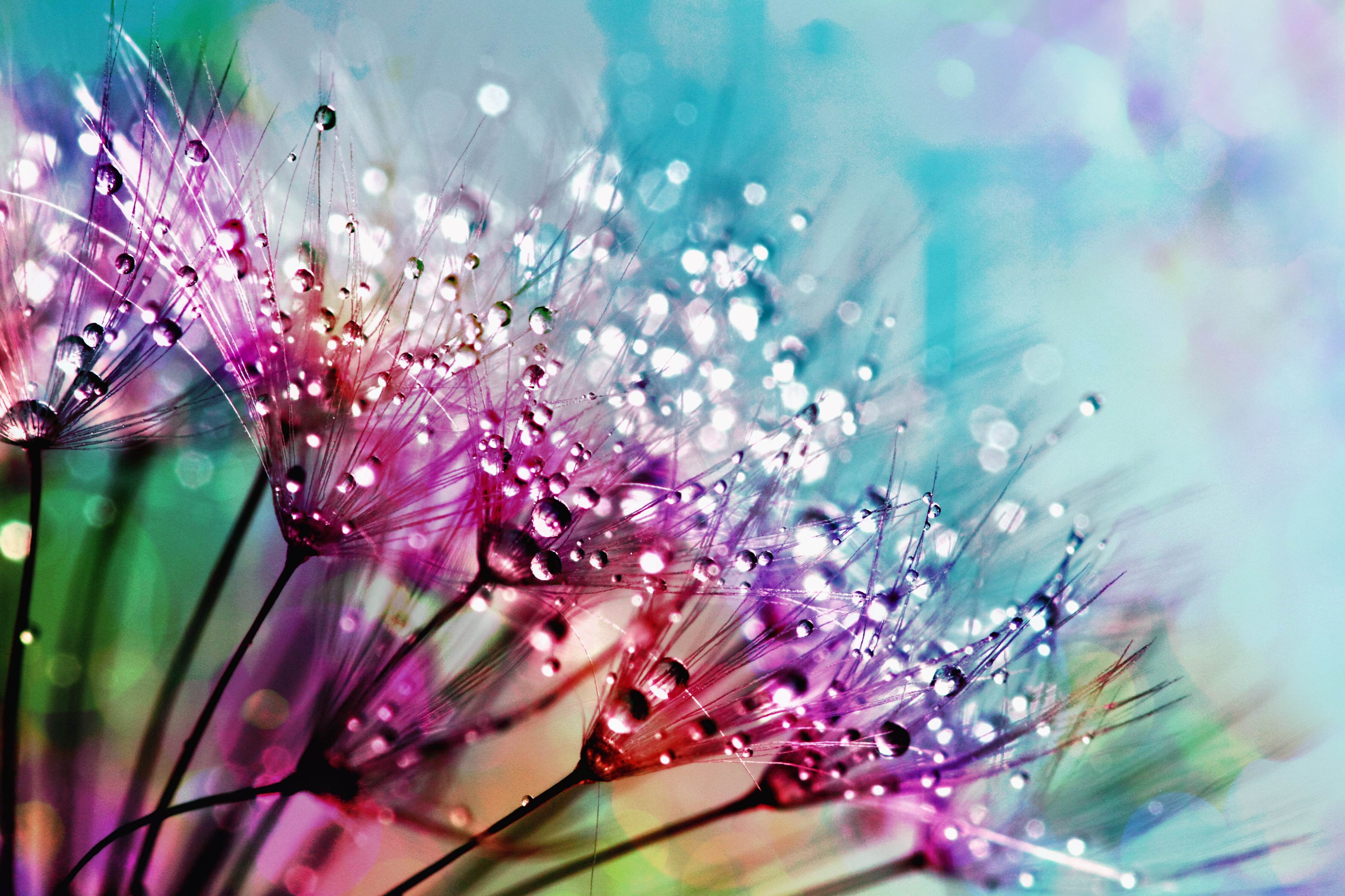 beautiful-blur-blurred-background-794494
