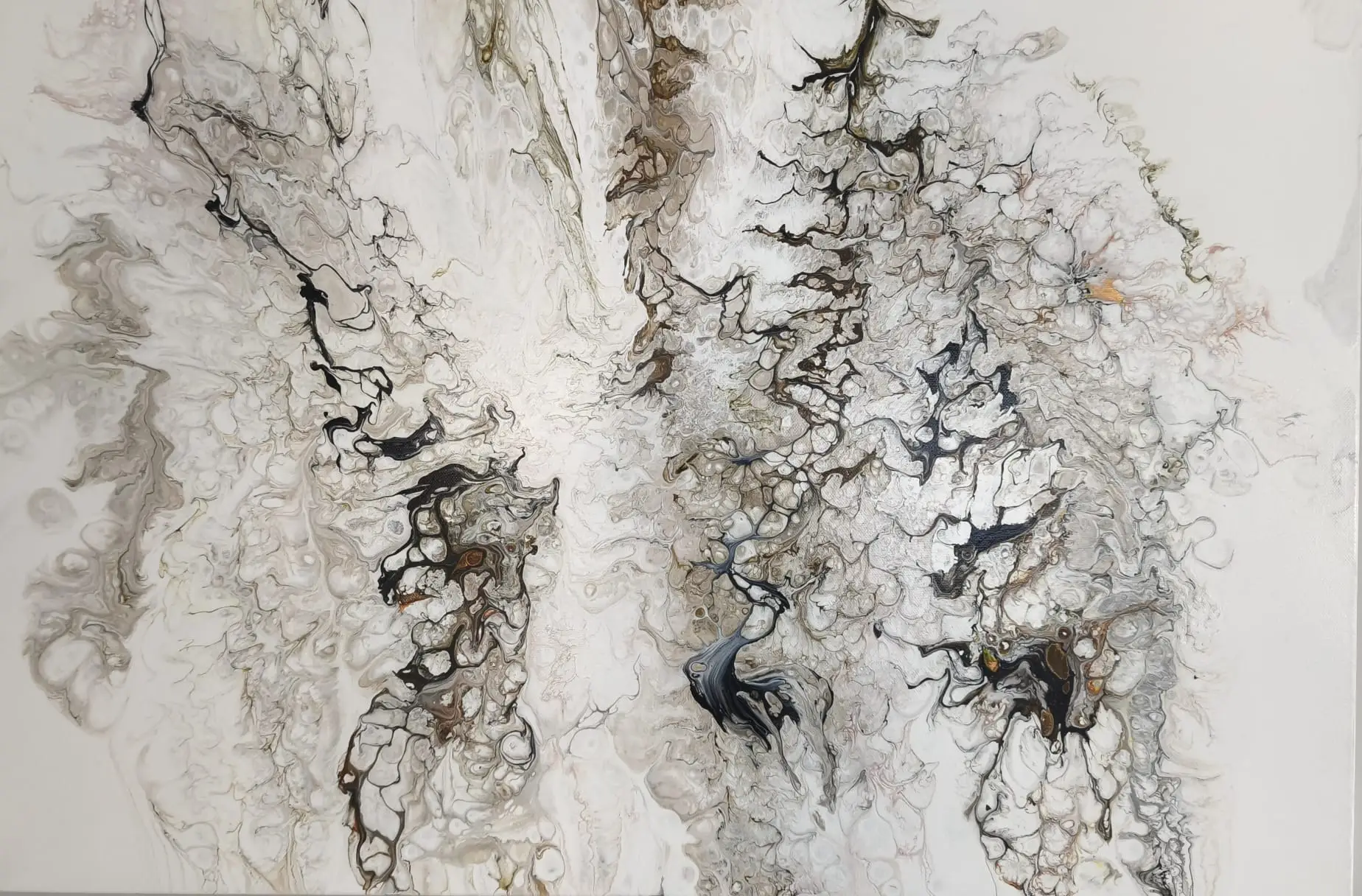 WhatsApp Image 2026-03-03 at 16.50.53