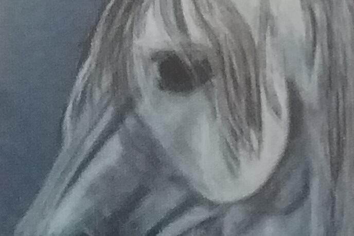 20190311_112933