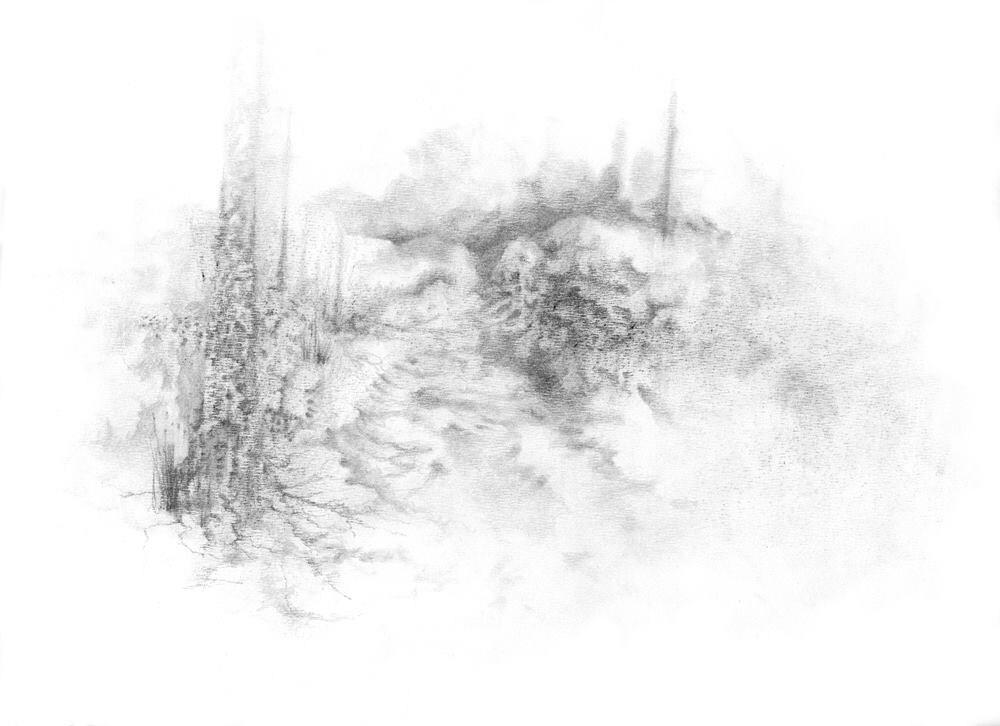 9267d878011575.5c98f083b3c70