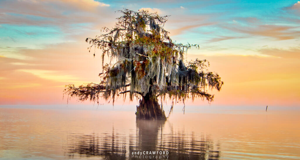Andy Crawford Photography-Lake Maurepas-20171125-1-logo