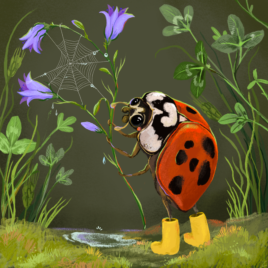 Beetle Boots