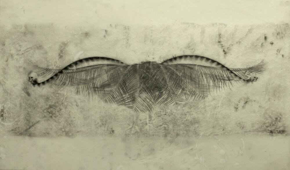 ghost dancer, dawn survey by Martin King