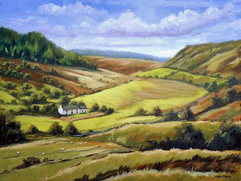 cambrian-mountains-painting-dolgoch