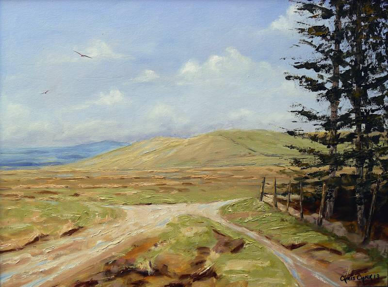 across-the-tops-pembrokeshire-painting