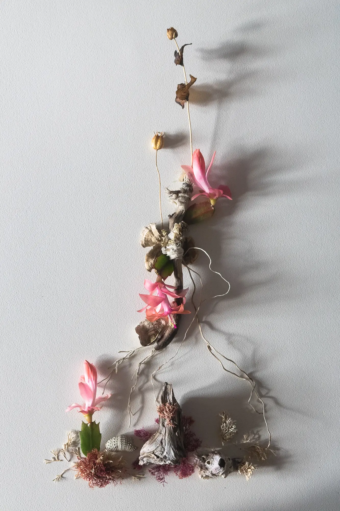 VERT.1903.2x3 (1 of 1)