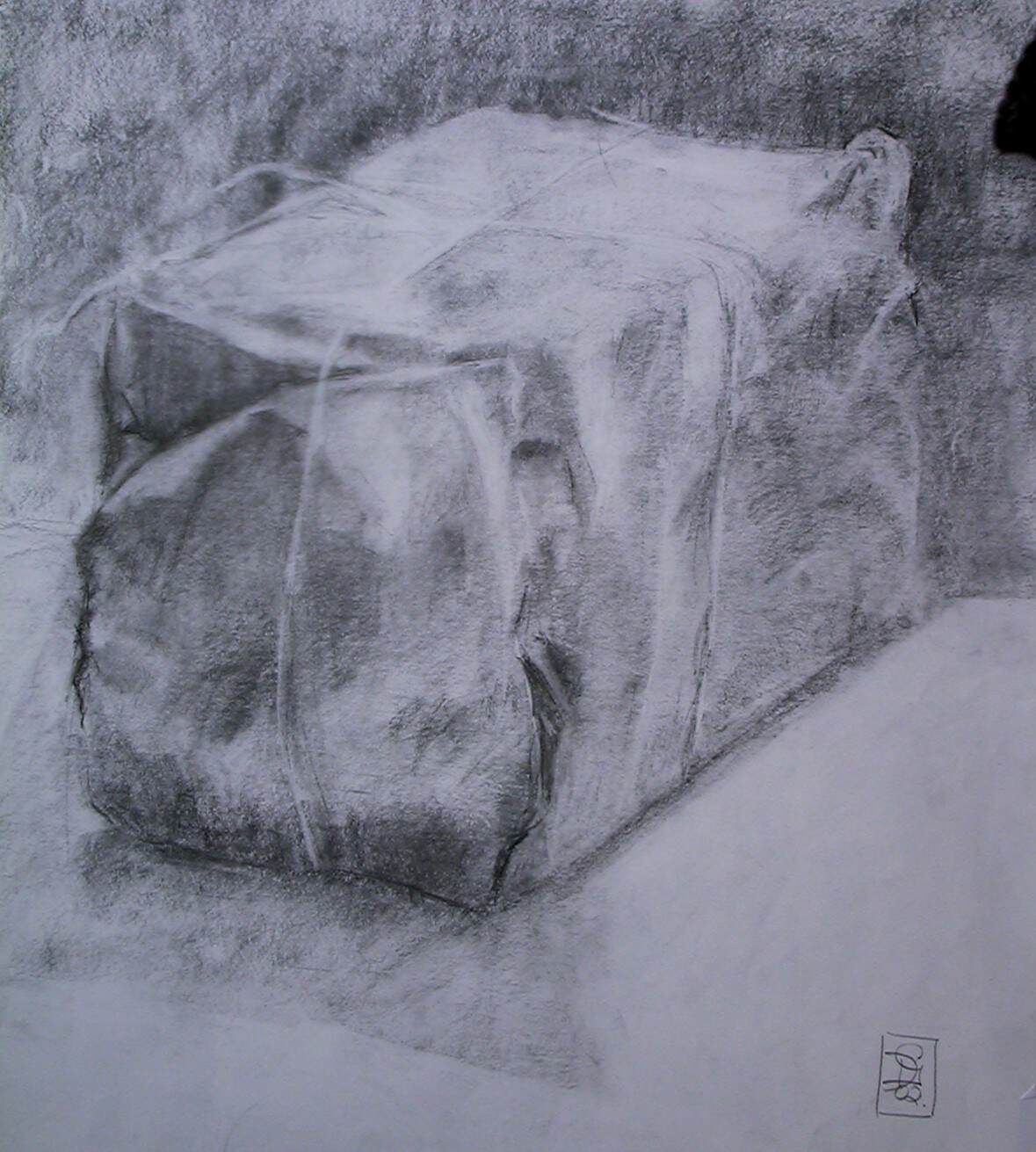 Wrapped package