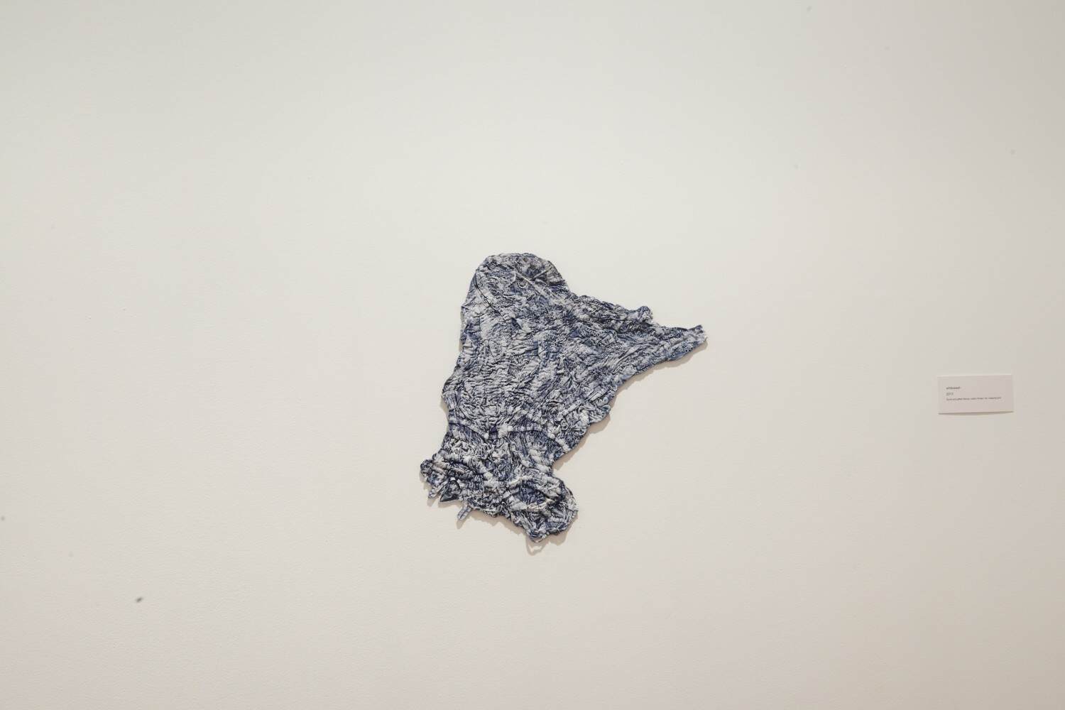 whitewash (detail) by Michele Elliot