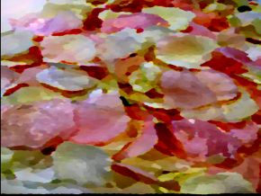 Oil on Canvas Rose Petals