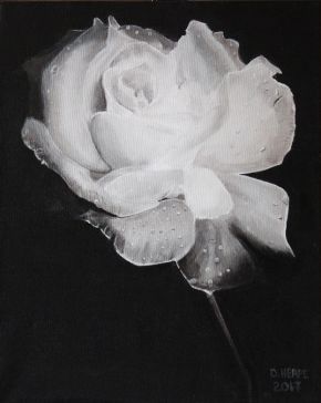 White Rose Painting