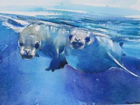 twin-seals