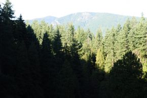 DSC_0309