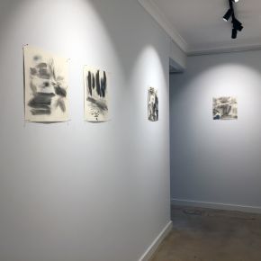 Installation Views by Penny Coss