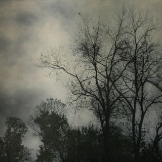 1.-shelterbelt-1