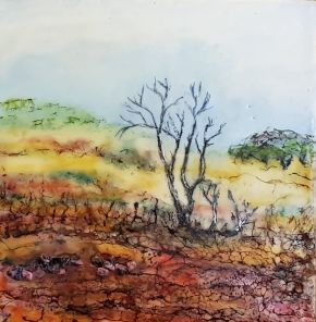 Arckaringa landscape SA by Marijke Gilchrist
