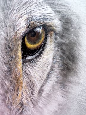 Wolf's Eye