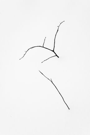 tree-minimalism-fine-art_DSC_1901_thumb