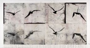 crossing the convergence by Martin King