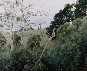 Peak of the Hill by Jennifer Riddle