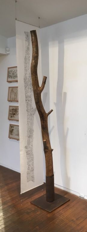 Black wattle tree trunk from Sawpit camp with suspended drawing by John Wolseley