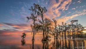 Andy Crawford Photography-Lake Maurepas-20171125-3-logo