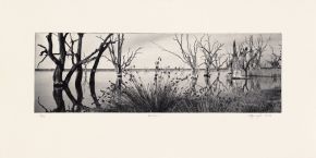 winter-1