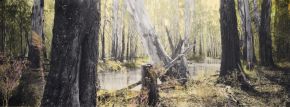 budgee-creek-ii--barmah-national-park