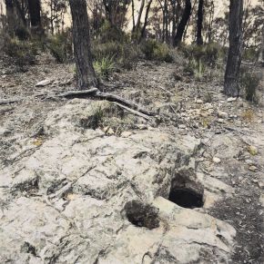 wooroo-mouth--rock-well--whroo---rushworth-state-forest