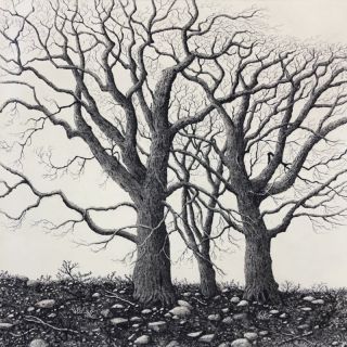 the bleak midwinter by Stephanie Rampton