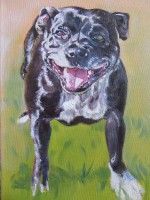 Brownie, my Dad's dog 2016 by Susan Piesse