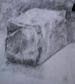 Wrapped package