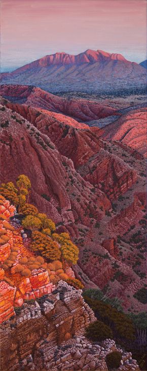 Zyzomus View by Pauline Clack