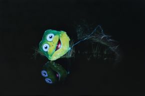 Pobblebonk by Camilla Tadich