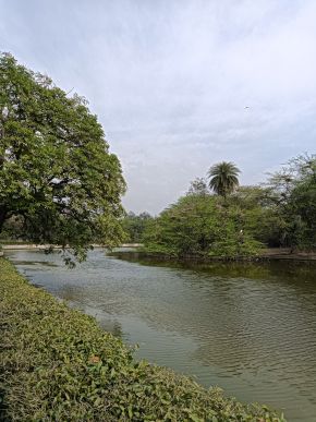 Photo by Leena Joshi (2)
