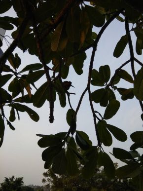 Photo by Leena Joshi (4)