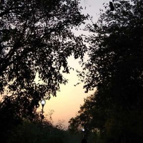 Photo by Leena Joshi (8)