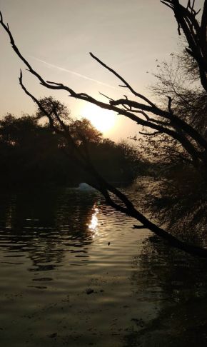 Photo by Leena Joshi (1)